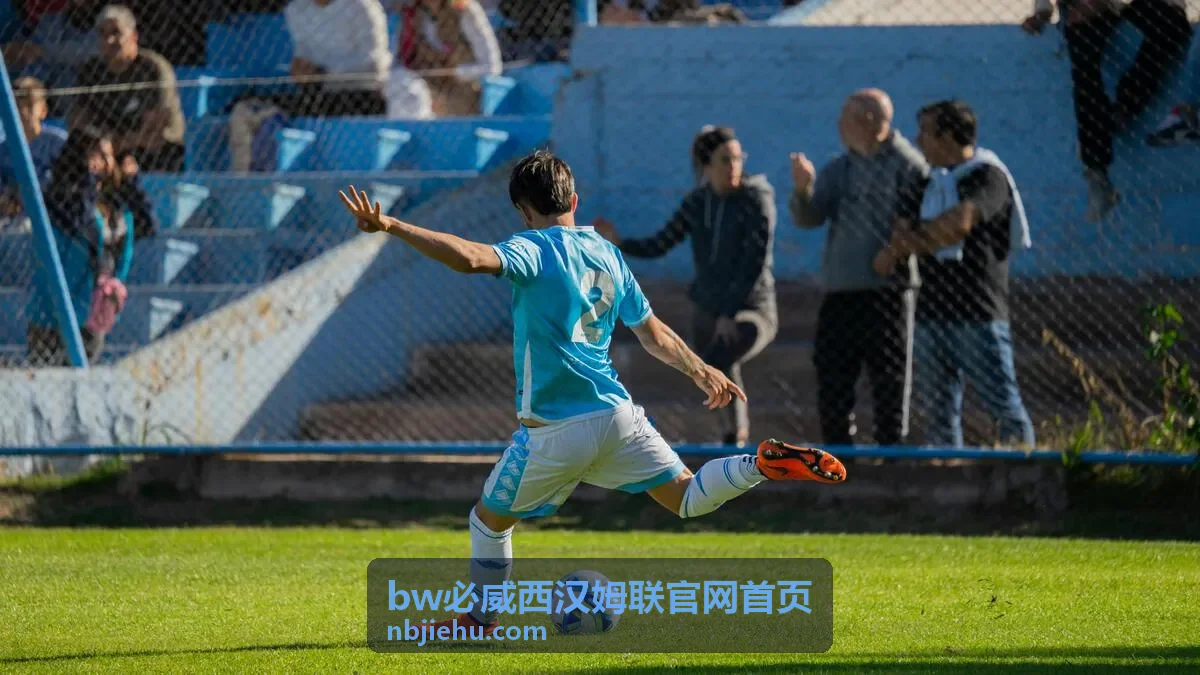 BW必威·西汉姆联伤停与停赛名单内容封面