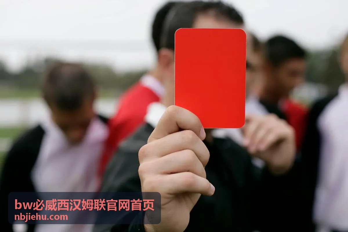 BW必威·西汉姆联观赛服务与答疑板块的赛前确认事项示意